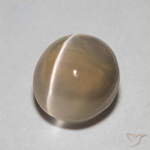 Sillimanite œil de chat Brun moyen naturelle ovale, 0.86 ct, Transparent