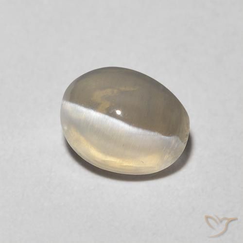 Sillimanite œil de chat Gris très clair naturelle ovale, 1.16 ct, Transparent