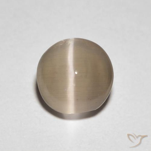 1.39ct Naturel Marron clair chaud Sillimanite œil de chat, ovale, Transparent