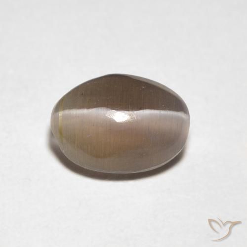0.88ct Naturel Brun moyen Sillimanite œil de chat, ovale, Transparent