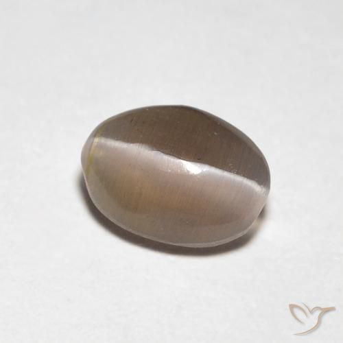 Sillimanite œil de chat Brun moyen naturelle ovale, 0.88 ct, Transparent