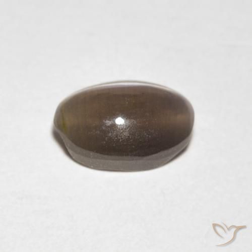 Sillimanite œil de chat Brun moyen naturelle ovale, 0.88 ct, Transparent