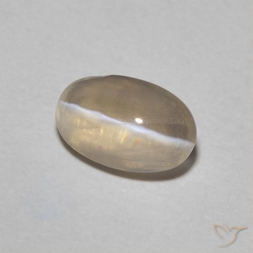 Sillimanite œil de chat Brun jaune léger naturelle Coupe ovale, 0.76 ct, Transparent