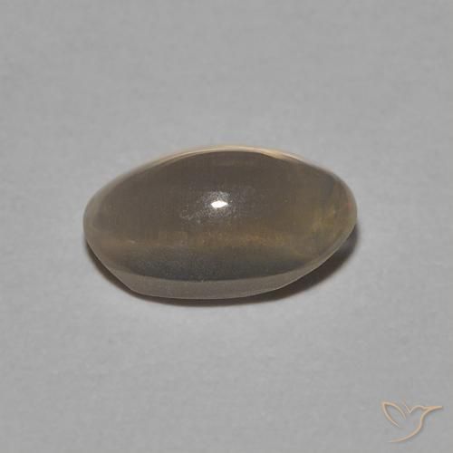 Sillimanite œil de chat Brun moyen naturelle ovale, 1.05 ct, Transparent