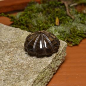 Quartz fumé marron naturelle forme fantaisie, 16,33 ct, transparent