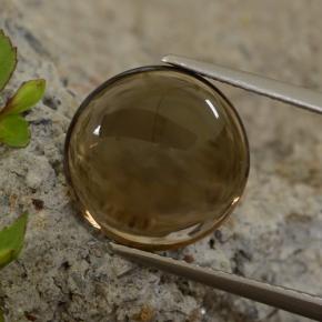 Quartz fumé marron naturelle coupe roude, 5,63 ct, transparent