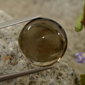 Quartz fumé marron naturelle coupe roude, 5,63 ct, transparent