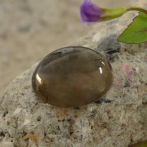 Quartz fumé marron naturelle coupe roude, 5,63 ct, transparent