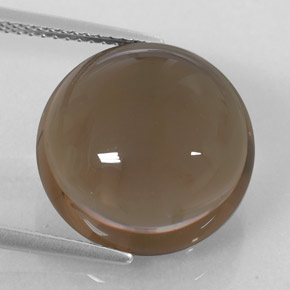 Quartz fumé marron naturelle transparent, 13,12 ct, transparent / translucide