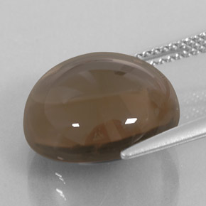 Quartz fumé marron naturelle transparent, 11,27 ct, transparent / translucide