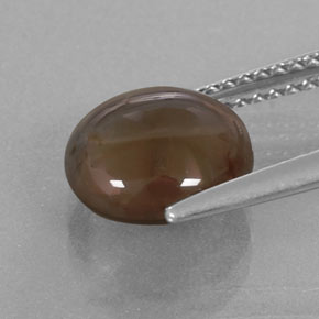 Quartz fumé marron naturelle coupe roude, 2,76 ct, transparent