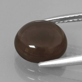 Quartz fumé Brun fumé naturelle Coupe roude, 2.58 ct, Transparent