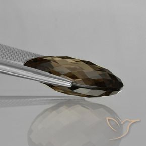 Quartz fumé Marron foncé naturelle ovale, 13.61 ct, VVS