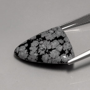 Obsidienne flocon de neige multicolore naturelle trillion, 17,24 ct, opaque