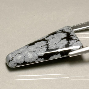 Obsidienne flocon de neige multicolore naturelle forme fantaisie, 14,82 ct, opaque