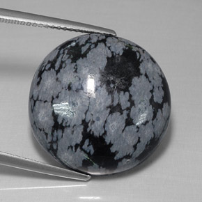 Obsidienne flocon de neige noir naturelle coupe roude, 16,26 ct, opaque