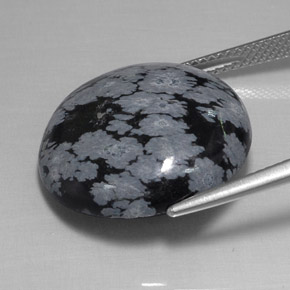 Obsidienne flocon de neige noir naturelle coupe roude, 16,26 ct, opaque