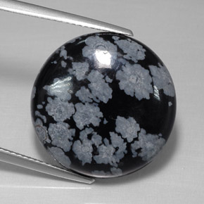 Obsidienne flocon de neige multicolore naturelle coupe roude, 15,77 ct, opaque