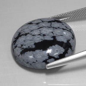 Obsidienne flocon de neige noir naturelle coupe roude, 17,48 ct, opaque