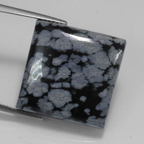Obsidienne flocon de neige noir naturelle carré, 20,67 ct, opaque