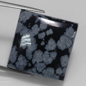 Obsidienne flocon de neige noir naturelle carré, 23,11 ct, opaque