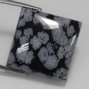 Obsidienne flocon de neige noir naturelle carré, 20,36 ct, opaque