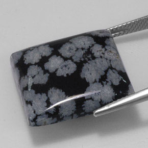 Obsidienne flocon de neige noir naturelle carré, 20,36 ct, opaque