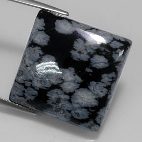 Obsidienne flocon de neige noir naturelle carré, 20,19 ct, opaque