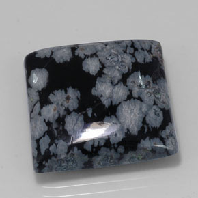 Obsidienne flocon de neige noir naturelle carré, 20,19 ct, opaque