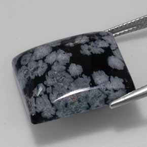 Obsidienne flocon de neige noir naturelle carré, 20,19 ct, opaque