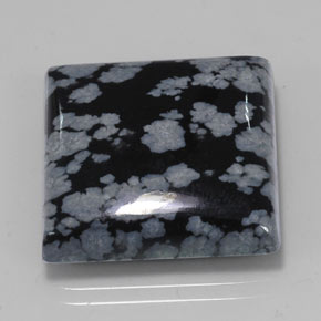 Obsidienne flocon de neige noir naturelle carré, 21,45 ct, opaque