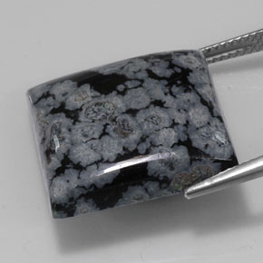 Obsidienne flocon de neige noir naturelle carré, 22,67 ct, opaque