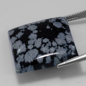 Obsidienne flocon de neige noir naturelle carré, 21,53 ct, opaque