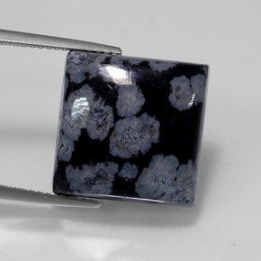 Obsidienne flocon de neige noir naturelle carré, 12,55 ct, opaque