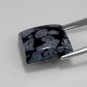 Obsidienne flocon de neige noir naturelle carré, 12,55 ct, opaque