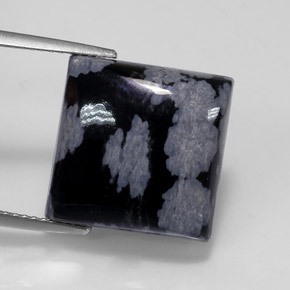 Obsidienne flocon de neige noir naturelle carré, 11,19 ct, opaque