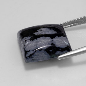 Obsidienne flocon de neige noir naturelle carré, 11,19 ct, opaque