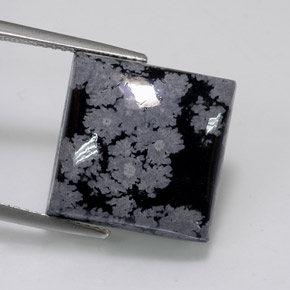 Obsidienne flocon de neige noir naturelle carré, 11,84 ct, opaque