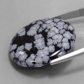 Obsidienne flocon de neige Gris-Blanc Noir naturelle Coupe roude, 27.54 ct, Opaque