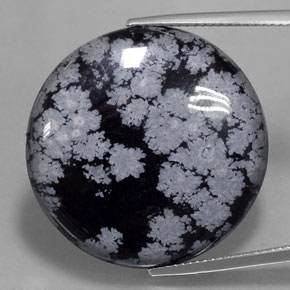 Obsidienne flocon de neige noir naturelle coupe roude, 29,16 ct, opaque