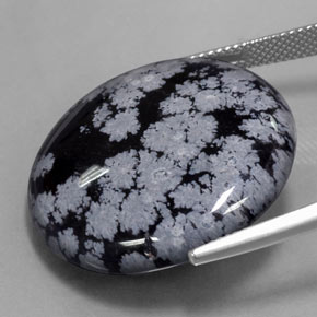 Obsidienne flocon de neige noir naturelle coupe roude, 29,16 ct, opaque