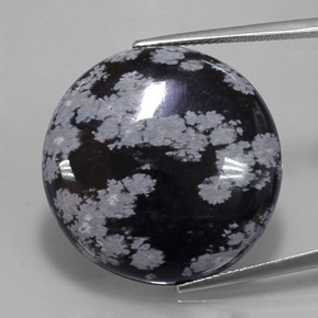 Obsidienne flocon de neige noir naturelle coupe roude, 25,93 ct, opaque