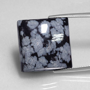 Obsidienne flocon de neige noir naturelle carré, 19,17 ct, opaque