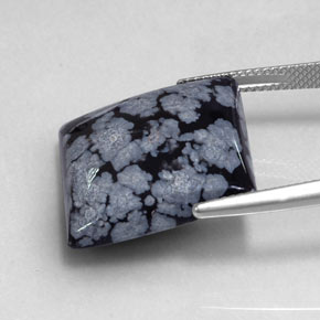 Obsidienne flocon de neige noir naturelle carré, 19,17 ct, opaque