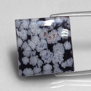 Obsidienne flocon de neige noir naturelle carré, 16,12 ct, opaque