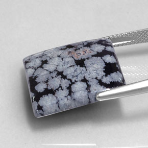 Obsidienne flocon de neige noir naturelle carré, 16,12 ct, opaque