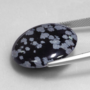 Obsidienne flocon de neige noir naturelle coupe roude, 24,99 ct, opaque