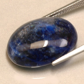 Sodalite bleue naturelle coupe ovale, 12,79 ct, opaque