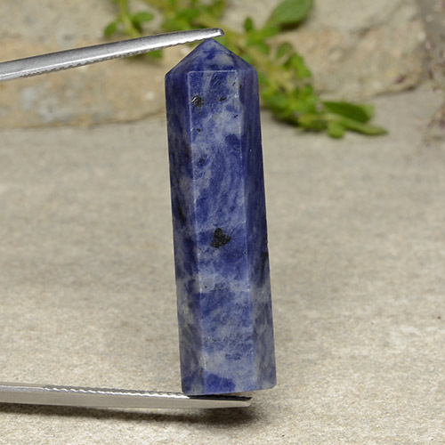 Sodalite Bleu multicolore naturelle Forme fantaisie, 21.76 ct, Opaque