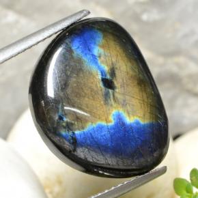 Spectrolite multicolore naturelle forme fantaisie, 9,04 ct, opaque